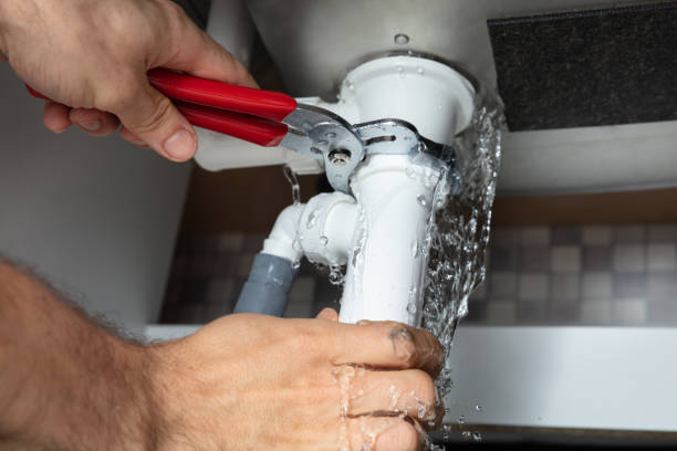 Best Professional water damage repair  in Maroa, IL