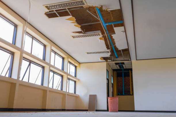 Best Fire Damage Restoration  in Maroa, IL