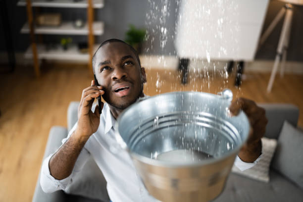 Best Commercial water damage restoration  in Maroa, IL