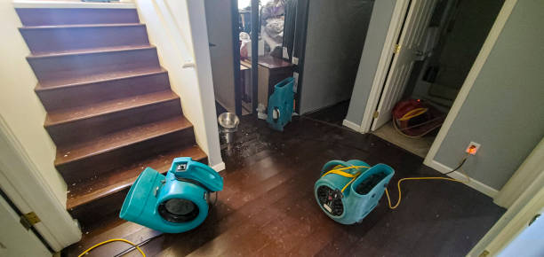 Best Water damage restoration near me  in Maroa, IL