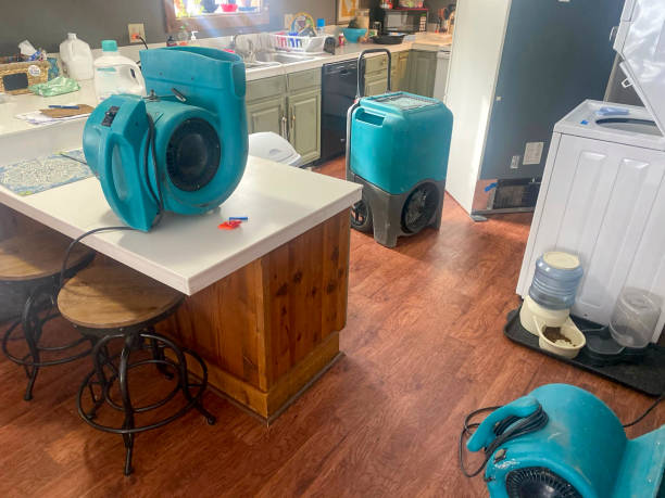 Best Carpet water damage restoration  in Maroa, IL