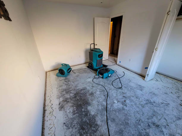 Best Water damage contractors near me  in Maroa, IL