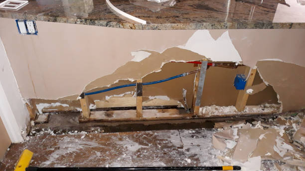Best Basement water damage restoration  in Maroa, IL