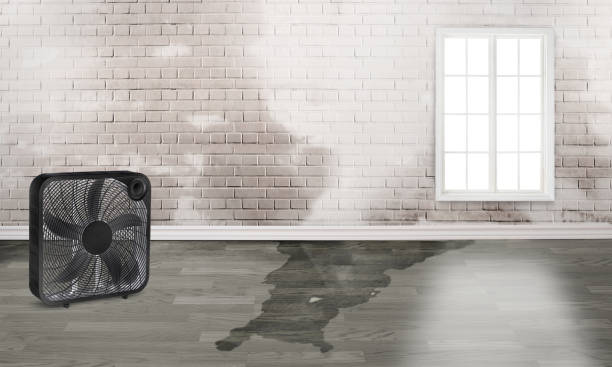 24/7 water damage repair in IL