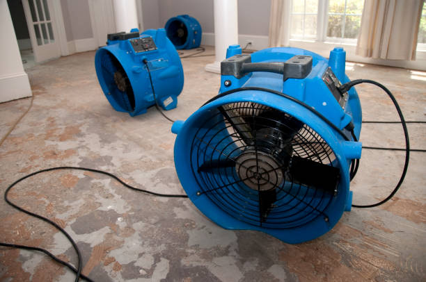 Best Ceiling water damage repair  in Maroa, IL