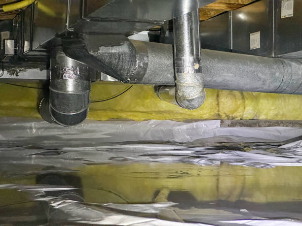 Best 24/7 water damage repair  in Maroa, IL