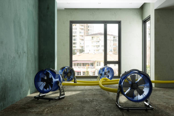 Best Flood damage cleanup  in Maroa, IL
