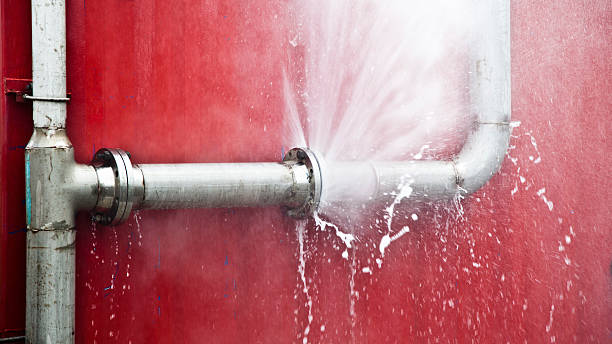 Best Mold removal after water damage  in Maroa, IL
